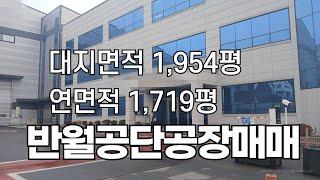 반월공단공장매매, 안산공장매매, 원시동공장매매