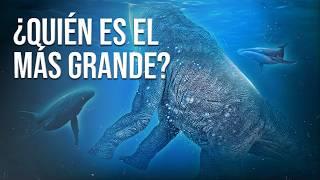 Animales Gigantes. ¿Por Qué Son Tan Grandes?