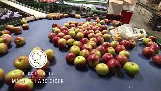 Rickers Hard Cider 2024 HD