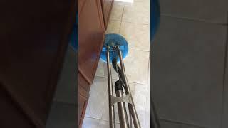 carpet cleaning land o lakes