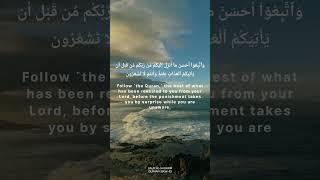 The Light النور #shorts #youtubeshorts