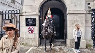 first day back, keep out of the box (danger zone) #royalhorseguard