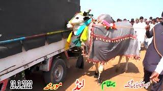 Hamza sky video fateh jang
