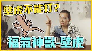 【觀靜】家中出現壁虎千萬不要打? 帶你認識『福氣神獸-壁虎』