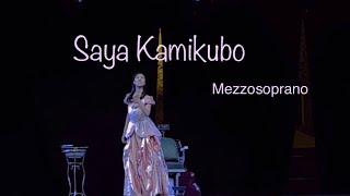 Saya Kamikubo mezzosoprano - Rosina ( Barbiere di Siviglia)