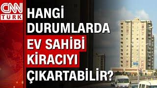 Ev sahibi, kiracı hakları neler? Uzman isim tek tek anlattı