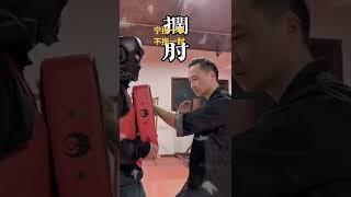 寧挨十拳，不挨一肘，詠春拳的四大肘法 一招製敵 弘揚中華武術 強身健體正能量 詠春拳塗藤耀 臺上一分鐘臺下十年功