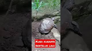 kalian harus tau..