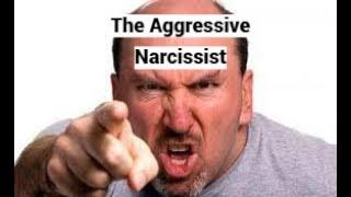 The Aggressive Narcissist