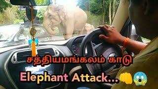 Elephant Attack | Sathyamangalam Forest | SUBSCRIBE OUR CHANNEL | Travel Time