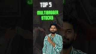 Top 5 Multibagger Stocks in 2024