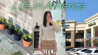 US vlog | 1시간걸려 한국다녀왔다구요! 흐흫 | 애틀랜타 헤어커트, 시온마트 장보기 | 첫 미국 치과 진료 🫠