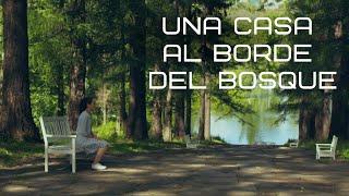 A quien no haya visto esta película se la RECOMIENDO | UNA CASA AL BORDE DEL BOSQUE