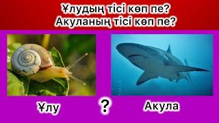 Жануарлар жайлы өте қызықты сұрақтар. Жауап бере аласың ба?