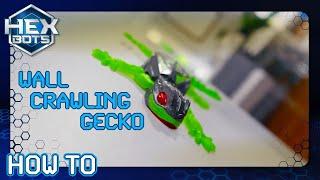 How to Use Your NEW Wall-Crawler Gecko | Hex Bots | Toys for Kids