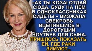 «АХ ТЫ КОЗА! ОТДАЙ СЮДА, БУДУ НА НЕМ В ОДНОКЛАССНИКАХ СИДЕТЬ! - ВИЗЖАЛА СВЕКРОВЬ…