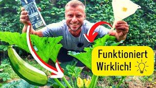 3 geniale Garten-Hacks zum  Nachmachen. 