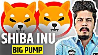 Shiba Inu Big Pump