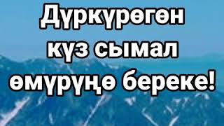 туулган кунго каалоо тилек