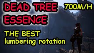 Garmoth Dead tree essence rotation  - best gathering at the moment up to 700m/h