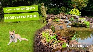 An Ecosystem POND for remembrance, Devon, UK