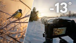 POV Nature Photography - Golden Winter Morning