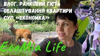 Влог. Чудовий Ранковий Гість. Супчик "Економка"/липень13/EcoMia Life