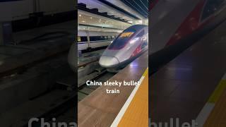 The sexy bullet train#china #music #business #travel #fyp