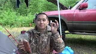 SOLO CAMPING HUNTING IN ALASKA | FALL SEASON 2024