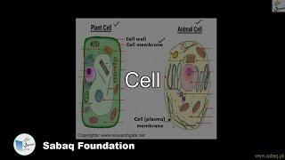 Cell, Biology Lecture | Sabaq.pk