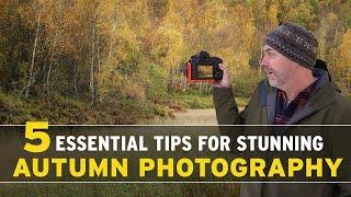 MASTER Autumn Photography With These 5 Essential Tips