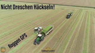 Nicht Dreschen Häckseln! Roggen GPS 2022 Großeinsatz Grünroggen Landwirtschaftlicher Lohnauftrag