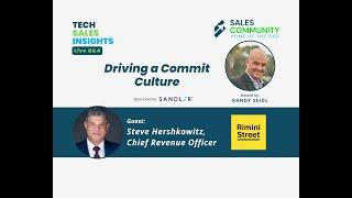 Tech Sales Insights LIVE featuring Steve Hershkowitz, Rimini Street