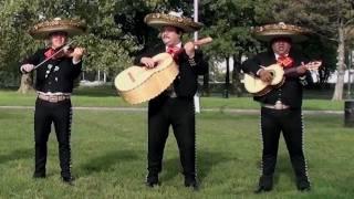 Mañanitas - Mariachi Mendoza