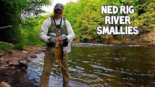 River Smallmouth Fishing || Nothing But Ned Rig