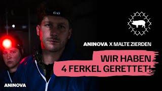 ANINOVA x Malte Zierden: Wir haben 4 Ferkel gerettet! - Extended Version