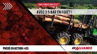 Alliance Pneus Forestiers : Avec 2,5 Bar en Forêt ! 