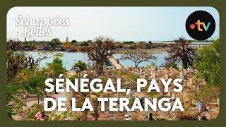 Sénégal, pays de la Teranga - Echappées belles