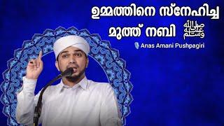 Anas Amani Pushpagiri #speech മുത്ത് നബിയുടെ സ്നേഹം | അനസ് അമാനി പുഷ്പഗിരി | Islamic Speech