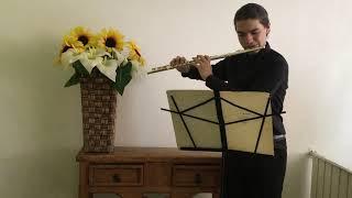 Sonata Para Flauta en Do Mayor, Mov 1 -   J.S. Bach - Yardan Lobato