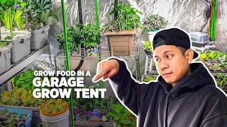 EP2: Gardening inside a garage grow tent – Grow food in winter