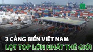 3 cảng biển Việt Nam lọt top lớn nhất thế giới | VTC14