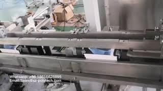 Tea/coffee bags automatic carton packing machine