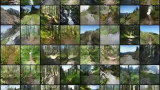 Fake Trails