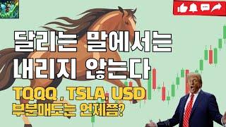 미국주식 이제부터는 "이렇게" 하세요! / 나스닥  미국주식 차트분석 TQQQ SOXL TSLA NVDA USD MSFT 금