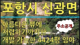 포항시 신광면 흥곡리 밭으로 사용 중이며 개발 가능한 계획관리지역 임야 매매(밭으로 사용 중)