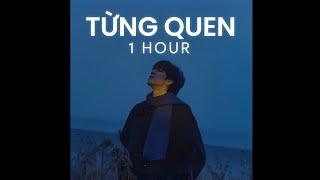 [1 HOUR] Từng Quen (Lofi Ver) - Wren Evans x Freak D~nhìn em anh bối rối anh thua rồi tim em lắm lối