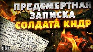 Предсмертная записка солдата КНДР попала в сеть. Вот что россияне делают с корейцами: это кошмар