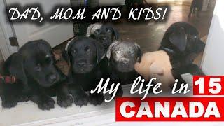 Happy family - dad, mom and ten funny puppies!