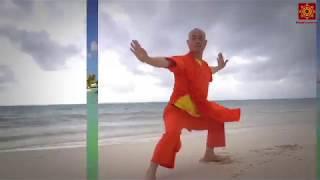 Shaolin Temple Mexico Mayan Riviera